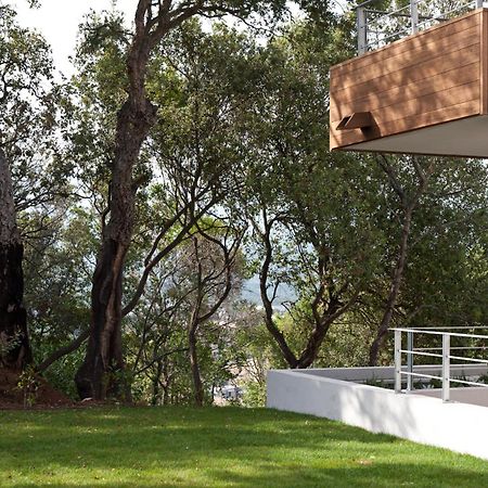 Residence Hoteliere Alcyon Porto-Vecchio  Buitenkant foto